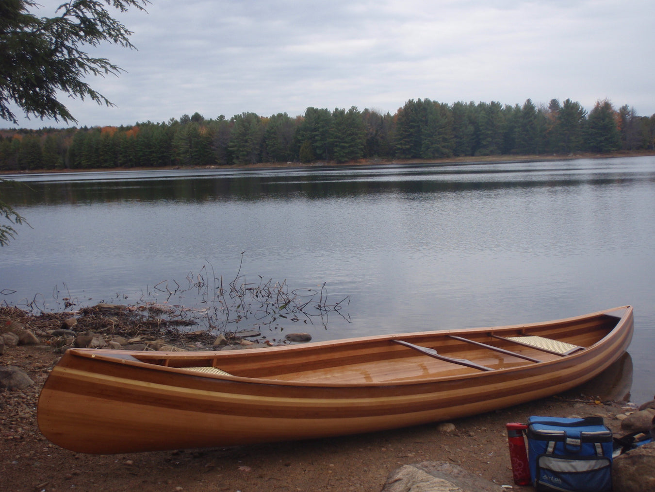 Cedar strip canoe at a lake