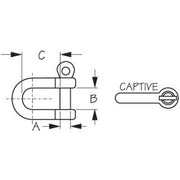 Stainless Captive D Shackle- 3/16 Inch 10 Each
