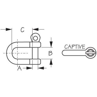 Stainless Captive D Shackle- 3/16 Inch 10 Each